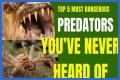 10 Terrifying And Deadly Predators You've Never Heard Of