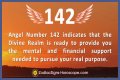 
ANGEL NUMBER 142
