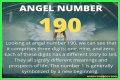 
ANGEL NUMBER 190

