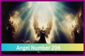 
ANGEL NUMBER 206
