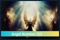 
ANGEL NUMBER 213
