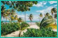 Best Costa Maya Beaches to Visit