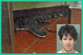 Florida Man Throws Crocodile In Drive Thru
