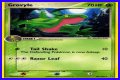 Grovyle (EX Emerald 28) - Bulbapedia, the community-driven Pokémon encyclopedia
