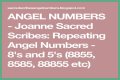 
Repeating Angel Numbers - 8's and 2's  (8822, 8282, 88822 etc)
